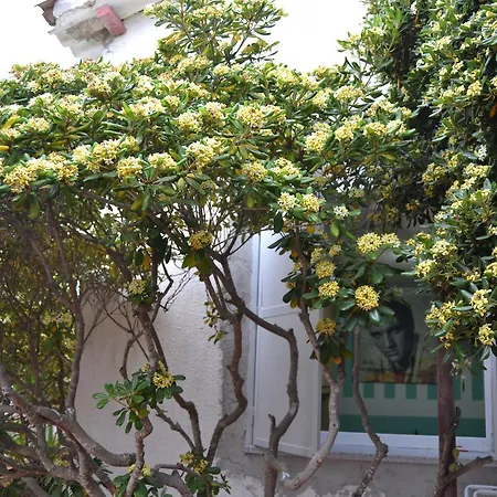 Bed & Breakfast Miramare Sulla *