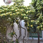 Bed and Breakfast Miramare Sulla 3*