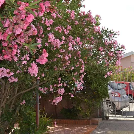 Miramare Sulla Platamona